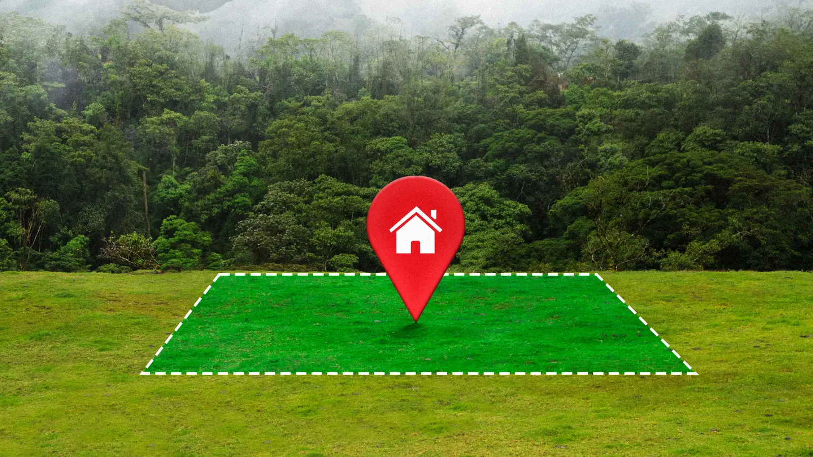 Tangled Up In Green Pricing Breakdown